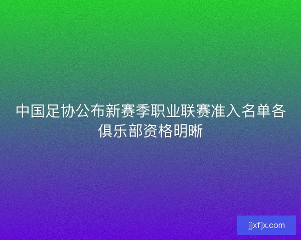 中国足协公布新赛季职业联赛准入名单各俱乐部资格明晰